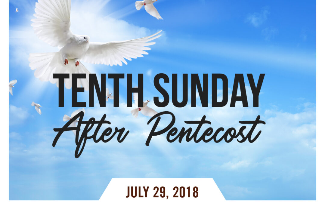 Tenth Sunday After Pentecost Church Butler Done for you social