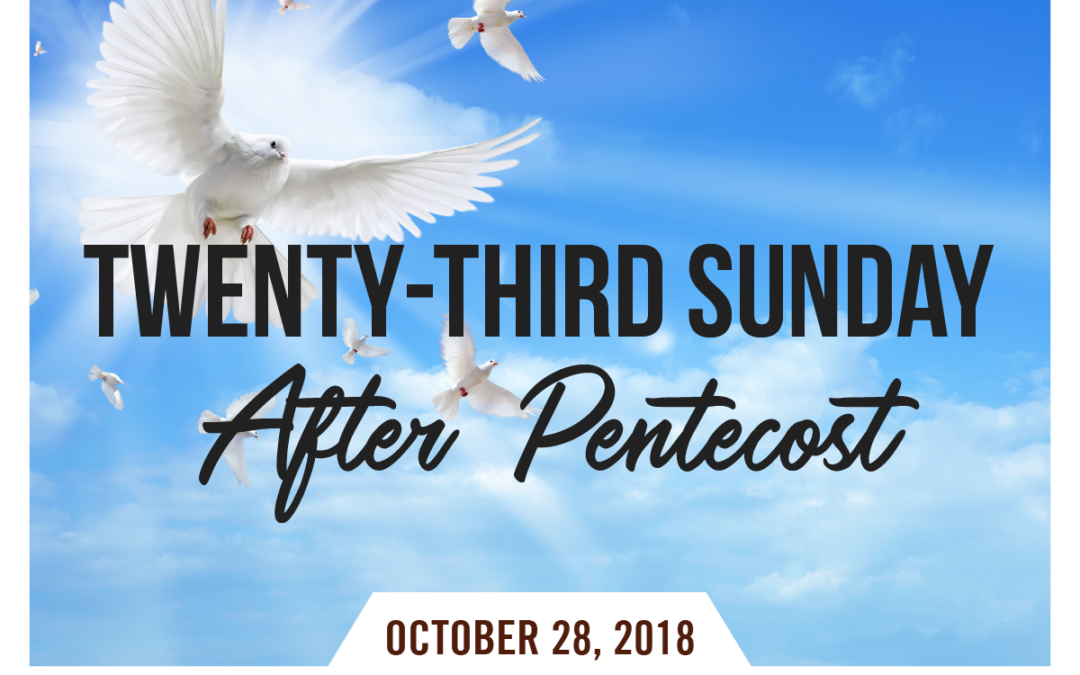 Twenty-third Sunday After Pentecost | Church Butler - Done For You ...